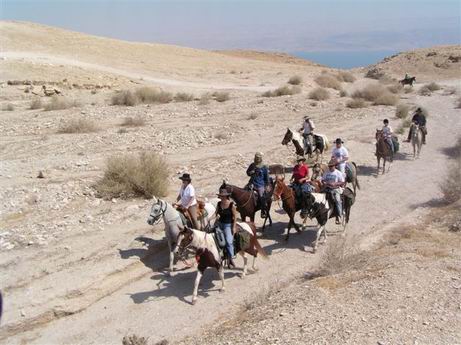 טיולים בים המלח והסביבה טיולים בים המלח והסביבה