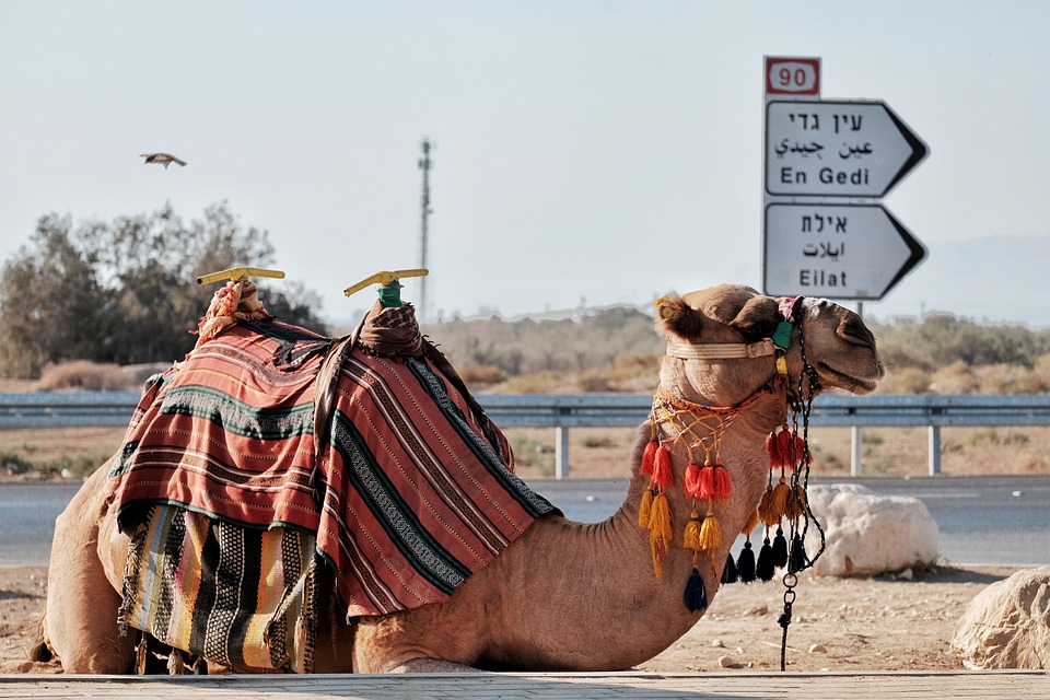 טיולים באילת והסביבה